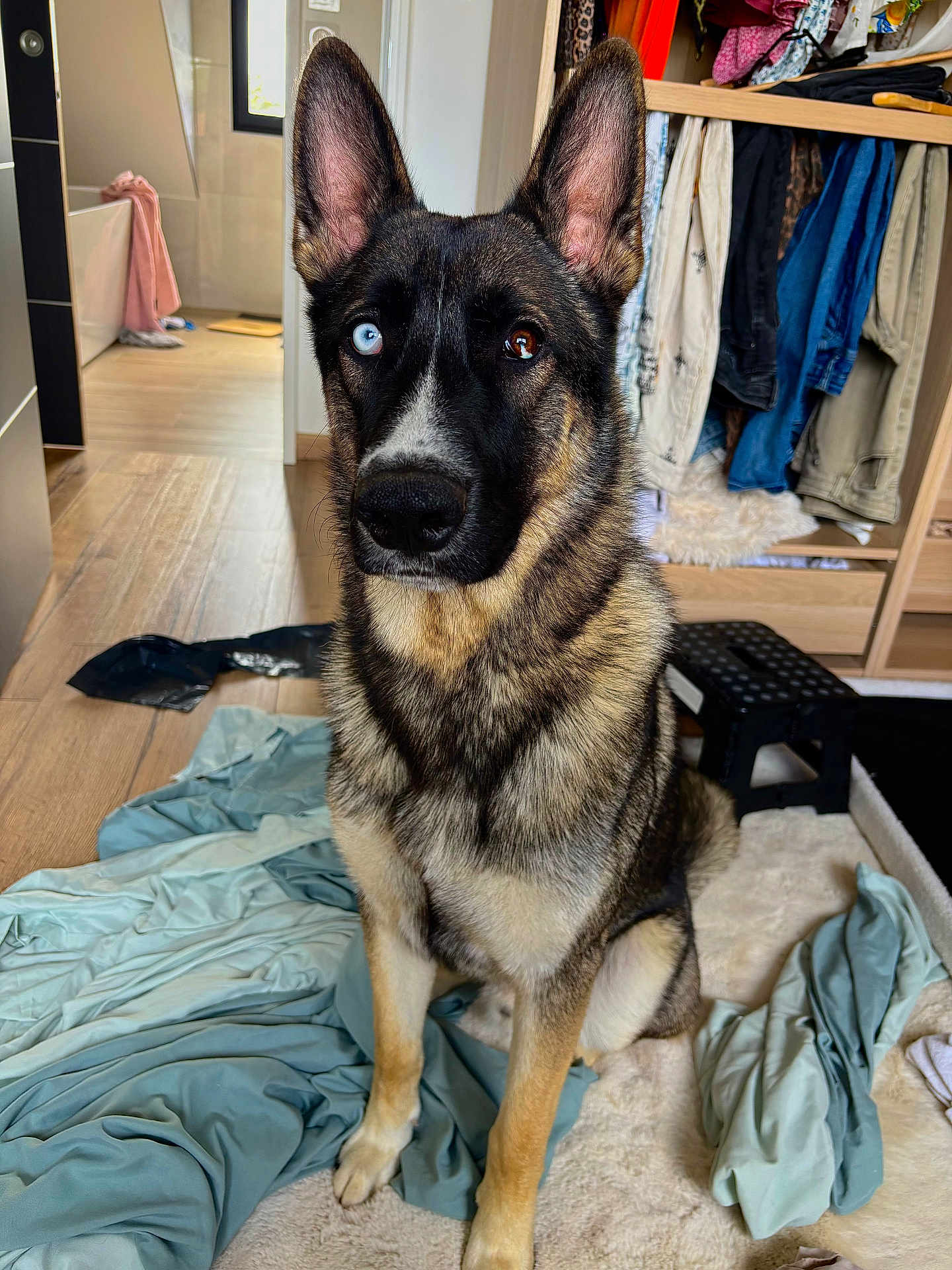 Léon