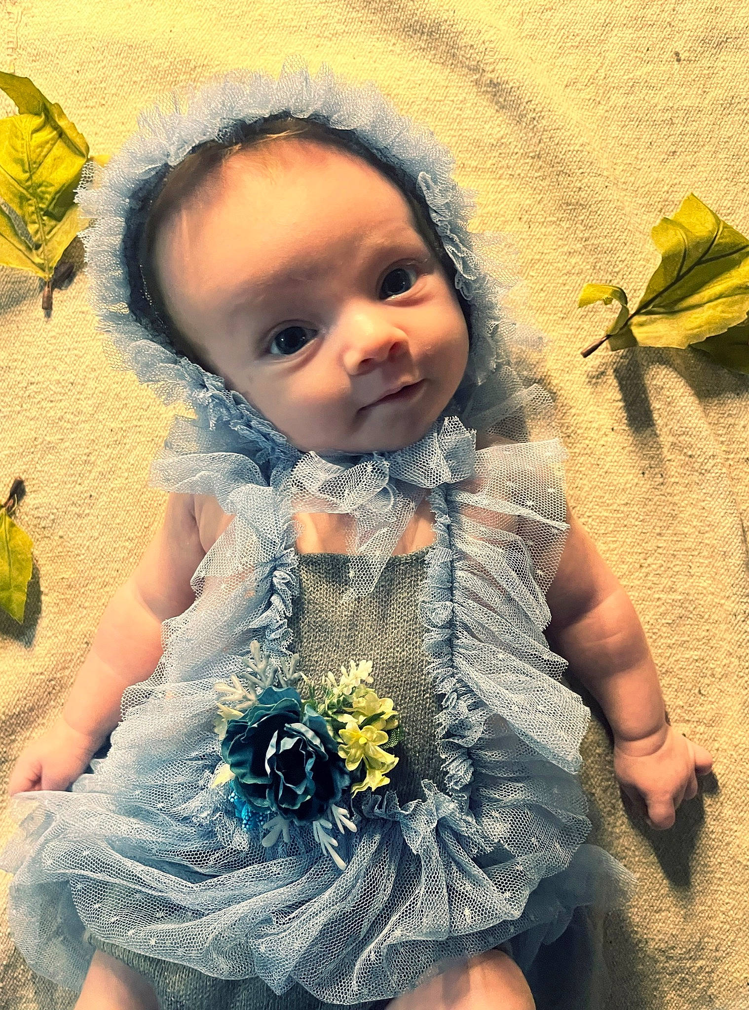Ember is registered to the contest to win money with this photo: baby, baby_toddler_clothing, child, cool, dress, eye, facial_expression, flower, fun, grass, hand, happy, iris, people_in_nature, person, petal, plant, skin, textile, toddler