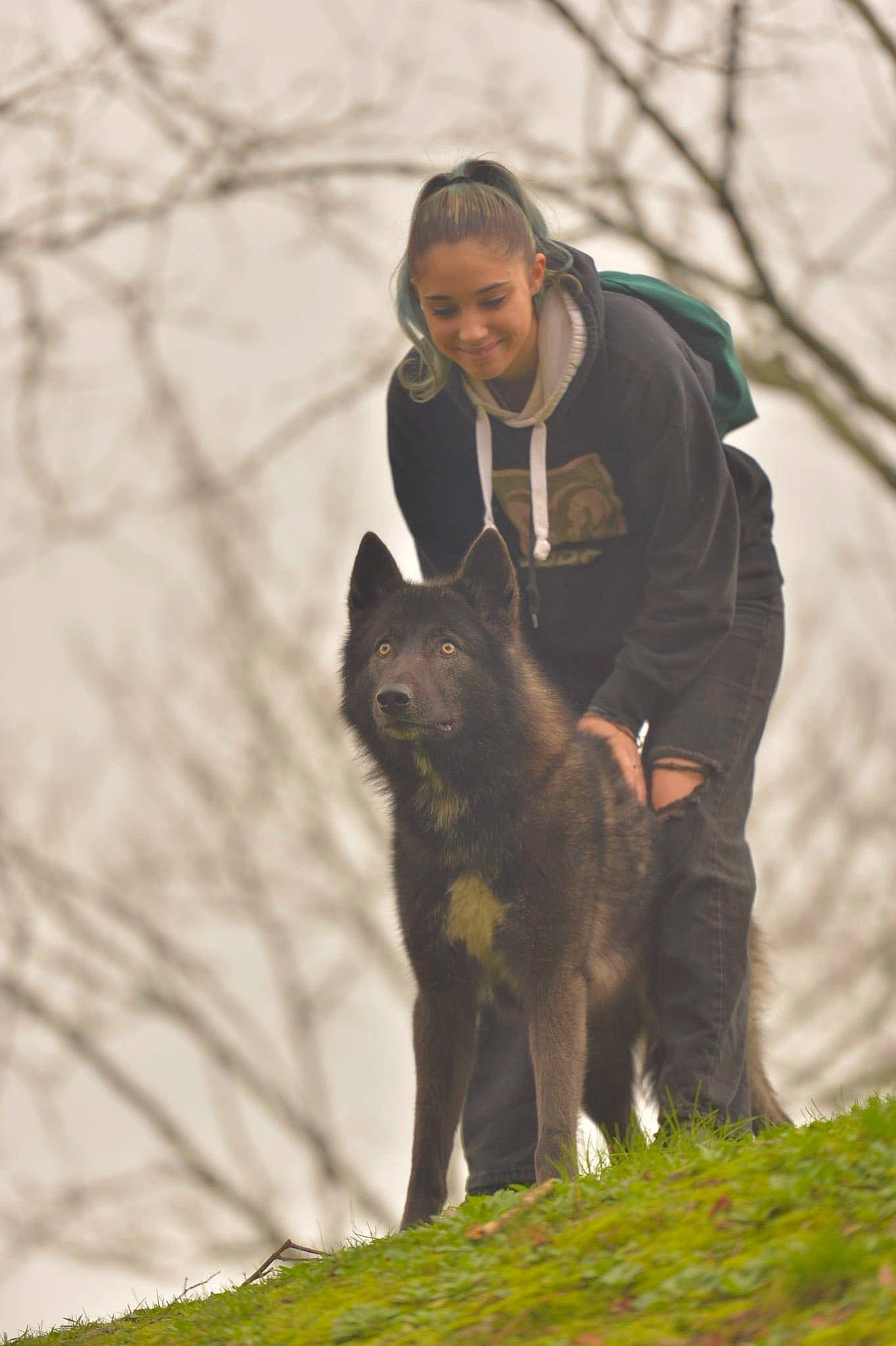Uthan participe au concours pour gagner de l'argent avec cette photo : canidae, carnivore, dog, dog_breed, dog_sports, fawn, fur, grass, guard_dog, jacket, recreation, smile, snout, sporting_group, terrestrial_animal, tree, trunk, wildlife, winter, working_animal