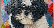 Baylee is registered to the contest to win money with this photo: puzzle, dog, puppy, black_and_white, fluffy, cute, animal, portrait, colorful, background, artistic, jigsaw, pet, canine, paw, name_text, decor, table, stand, photo