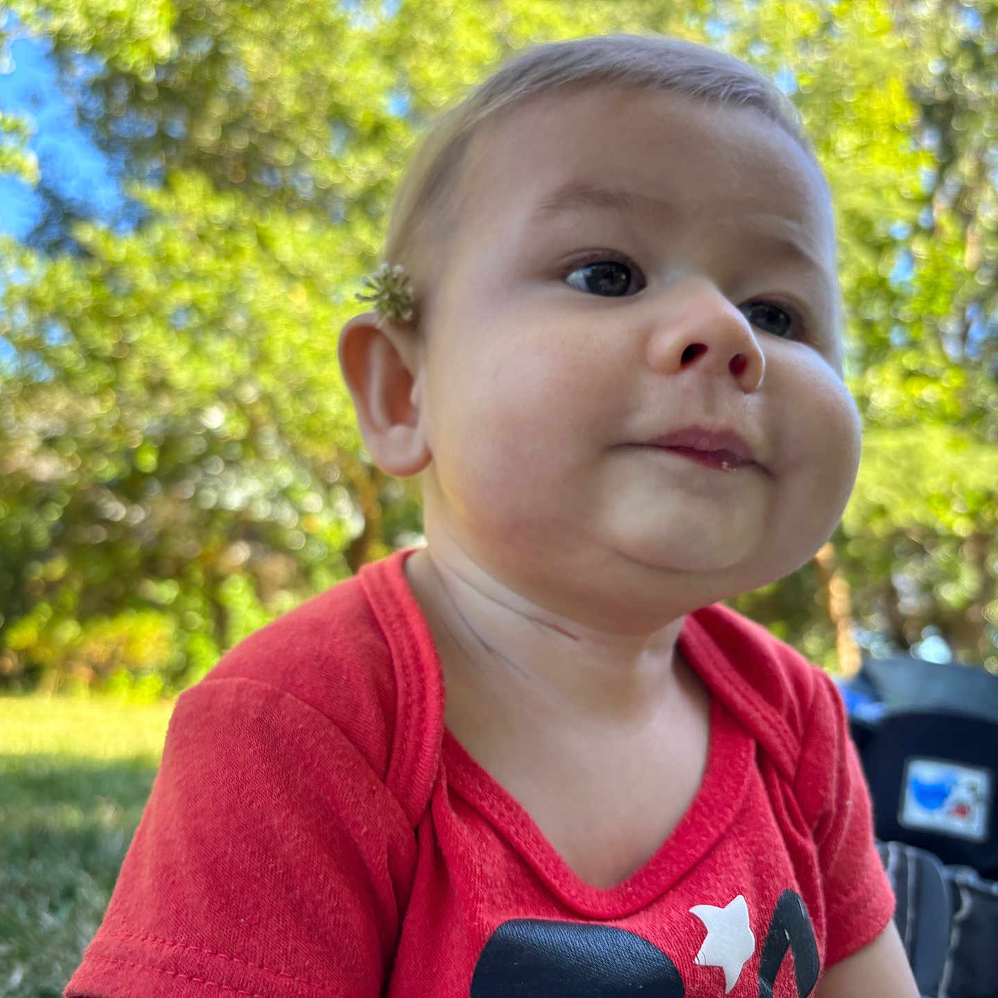 Joshua
