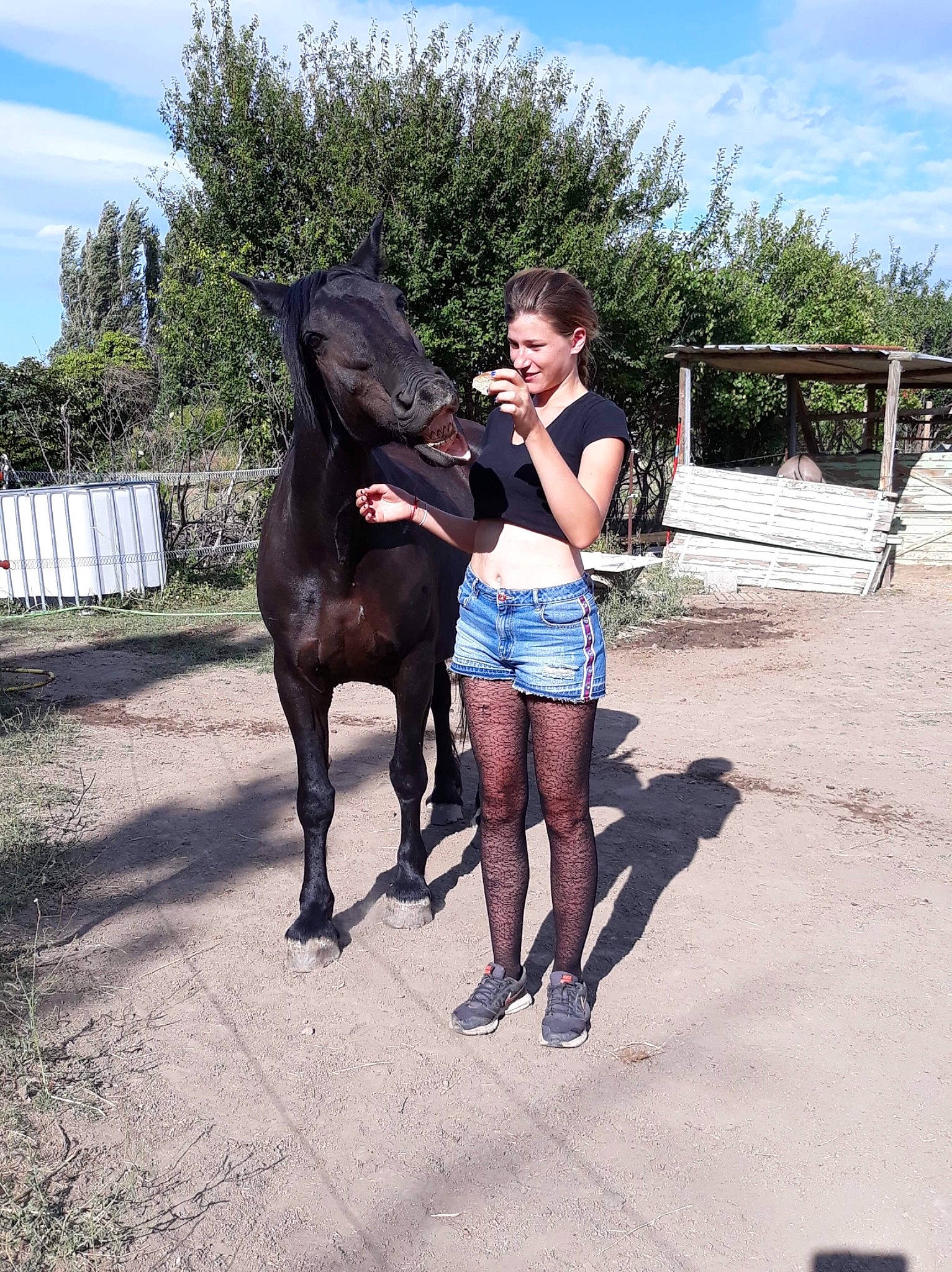 Perle participe au concours pour gagner de l'argent avec cette photo : bridle, equestrianism, equitation, halter, horse, horse_grooming, horse_harness, horse_like_mammal, horse_supplies, horse_tack, joy, mane, mare, mustang_horse, pack_animal, person, ranch, rein, saddle, stallion