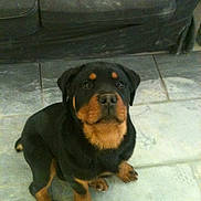Heden participe au concours pour gagner de l'argent avec cette photo :