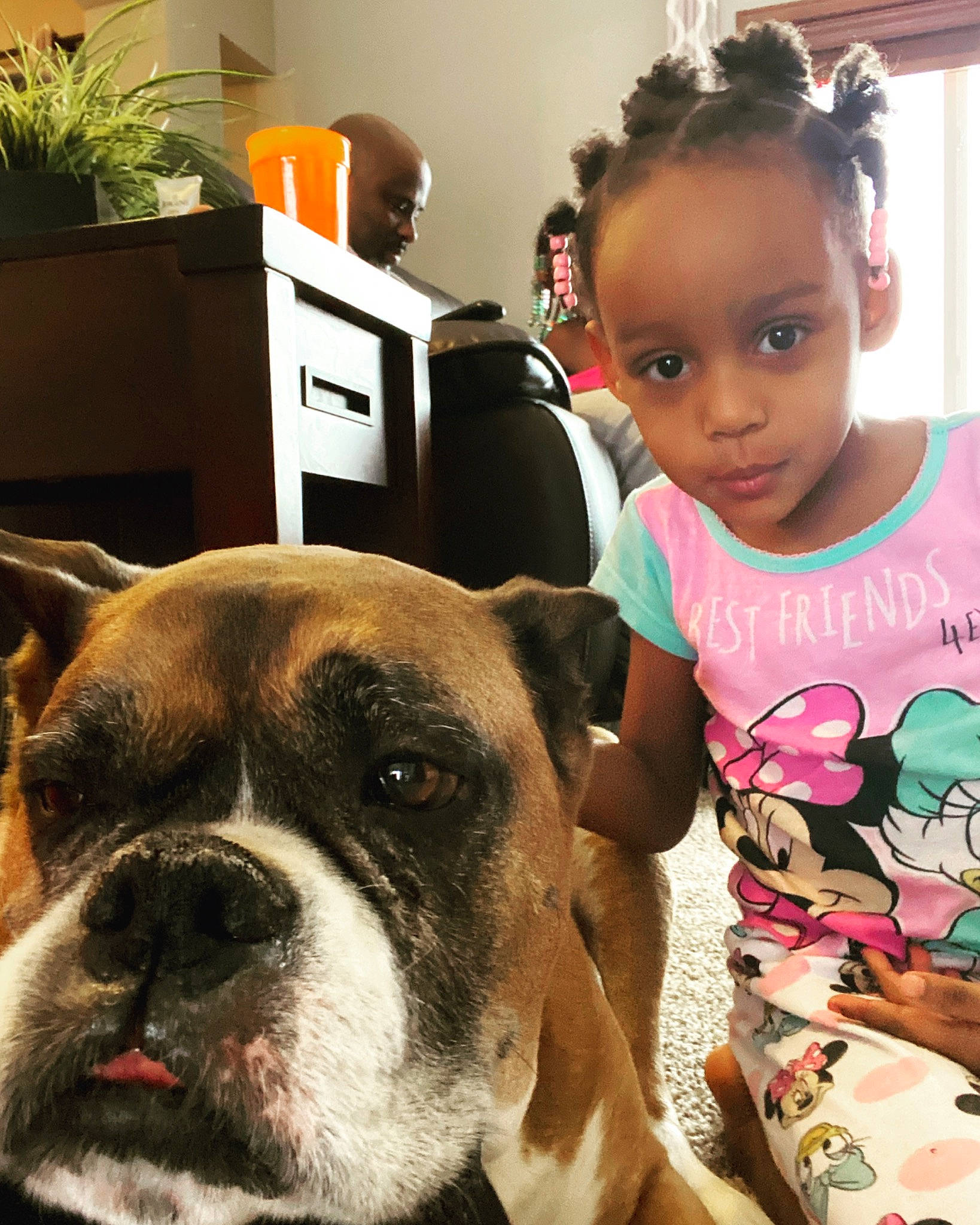 London joined the competition — help win amazing prizes! boxer, bulldog, canidae, carnivore, cheek, companion_dog, dog, dog_breed, ear, face, head, mammal, nose, old_english_bulldog, olde_english_bulldogge, person, puppy_love, selfie, skin, snout