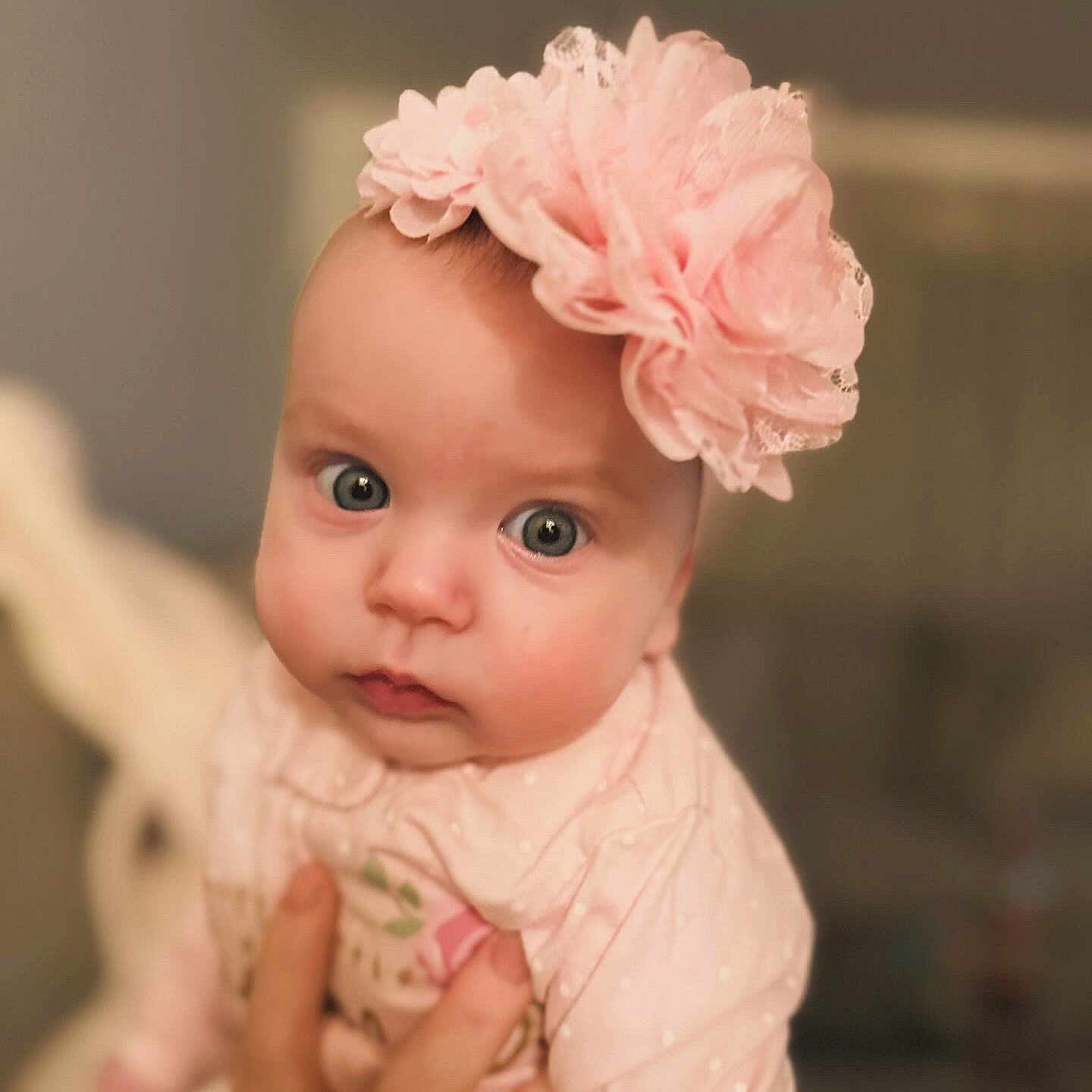 Ayanna joined the competition — help win amazing prizes! accessories, baby, bodypart, clothing, dahlia, dress, face, finger, flower, flowerarrangement, flowerbouquet, hand, hat, head, headband, newborn, person, photography, plant, portrait