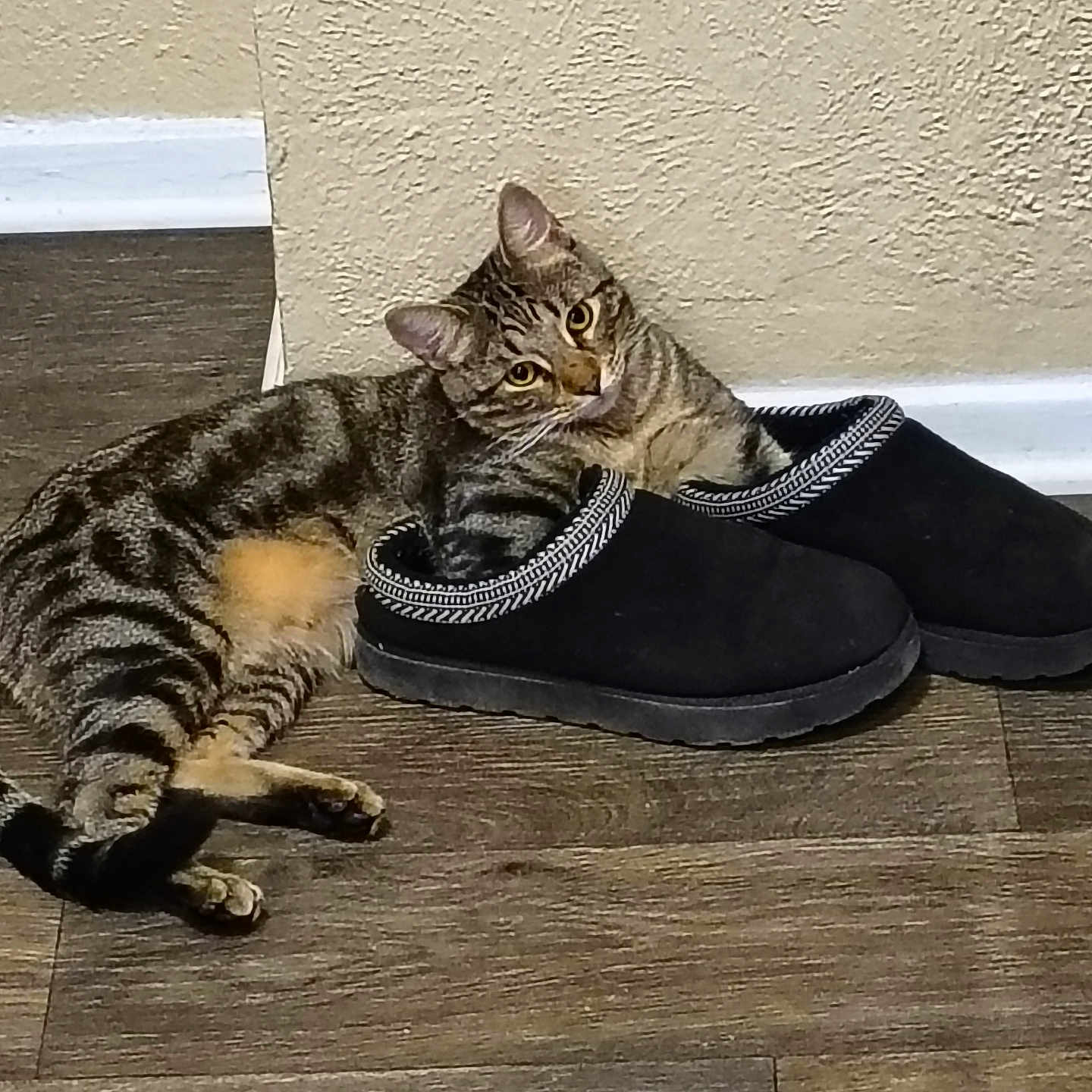 Tigger