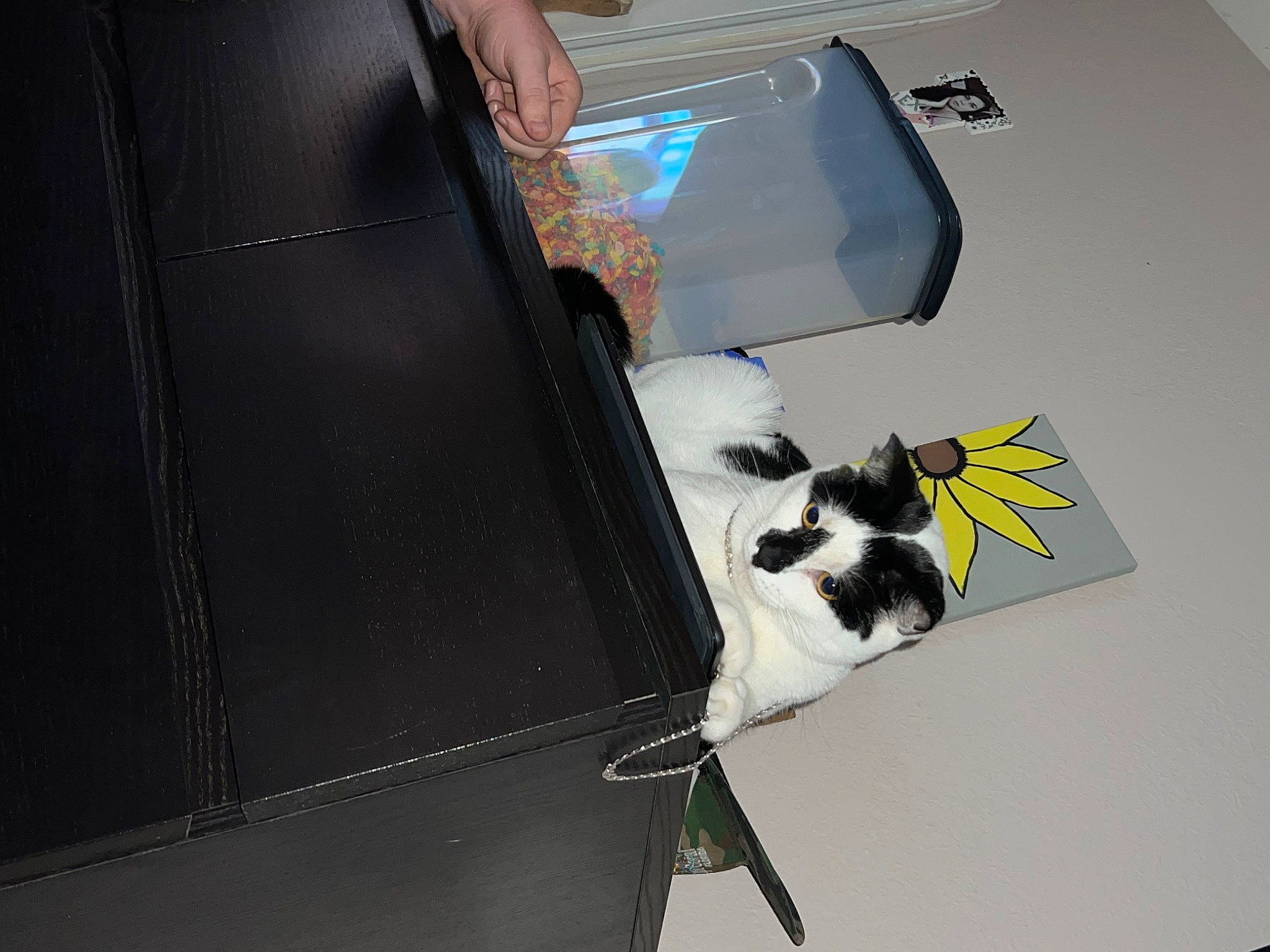 Domino joined the competition — help win amazing prizes! art, auto_part, automotive_design, automotive_exterior, automotive_wheel_system, bumper, chair, desk, eyewear, felidae, flooring, hood, material_property, motor_vehicle, office_supplies, paper, pen, table, vehicle_door, wing