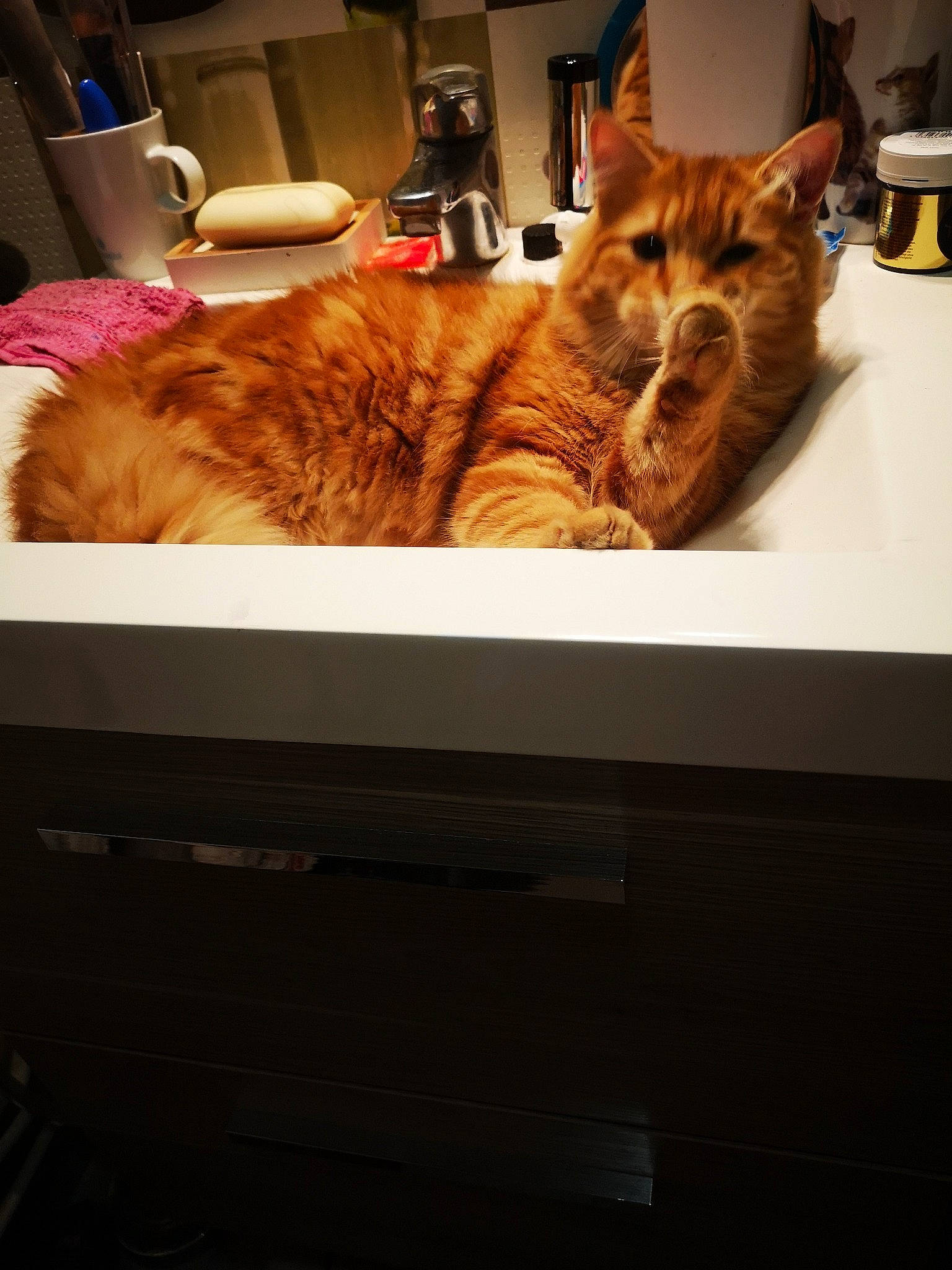 Roucky participe au concours pour gagner de l'argent avec cette photo : bathroom, bed, carnivore, cat, comfort, domestic_short_haired_cat, fawn, felidae, fur, hardwood, metal, plumbing_fixture, room, small_to_medium_sized_cats, snout, tail, tap, textile, whiskers, wood