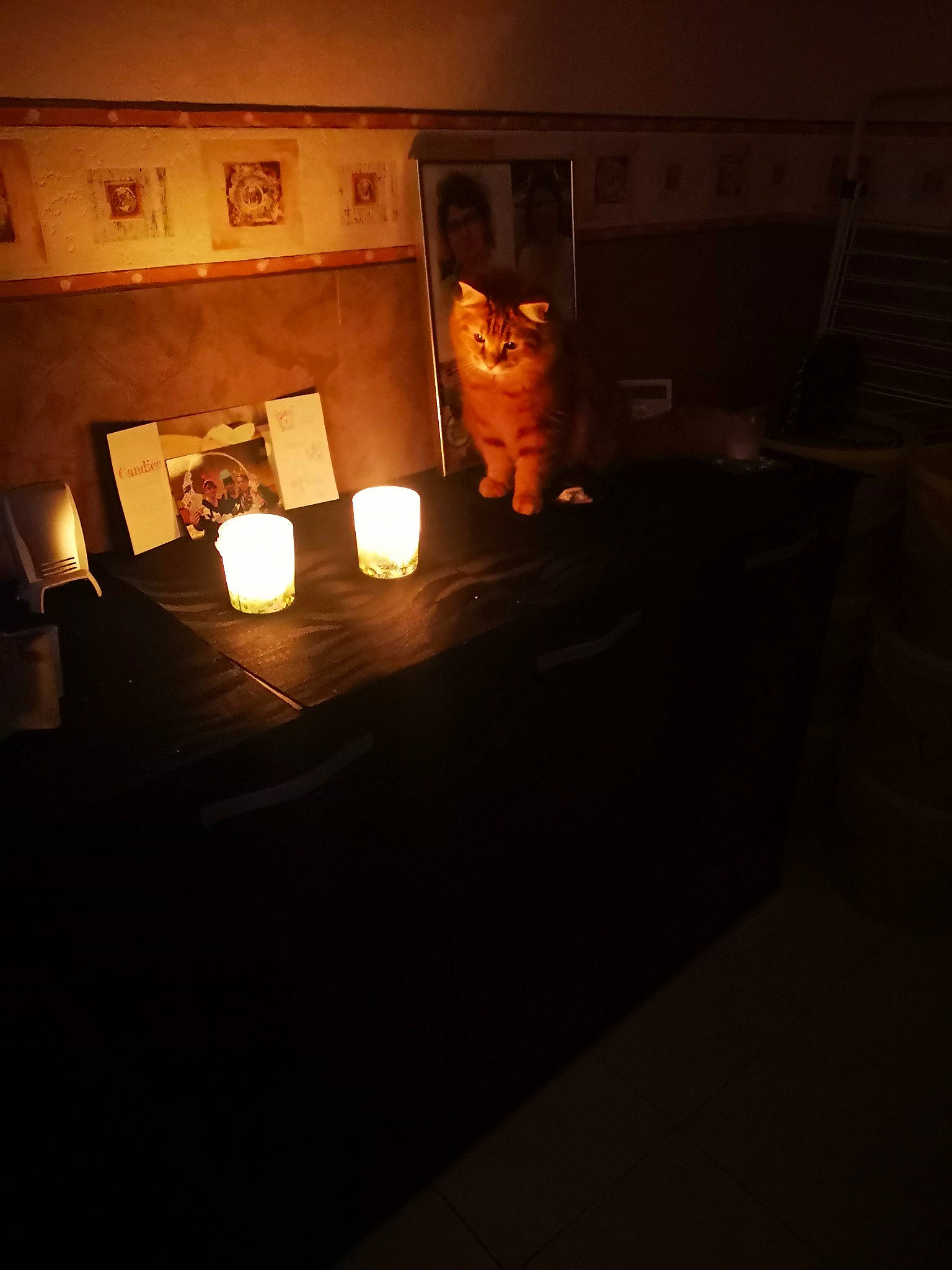 Roucky participe au concours pour gagner de l'argent avec cette photo : candle, carnivore, cat, darkness, drinkware, event, fawn, felidae, flooring, hardwood, heat, light_fixture, room, small_to_medium_sized_cats, tableware, tints_and_shades, wax, whiskers, window, wood