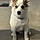 Buster