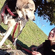 Sofia participe au concours pour gagner de l'argent avec cette photo : blue_sky, casual, daylight, dog, friendship, grass, happy, harness, interaction, leash, nature, outdoor, pet, playful, relaxation, smile, sunlight, toy, tree, woman