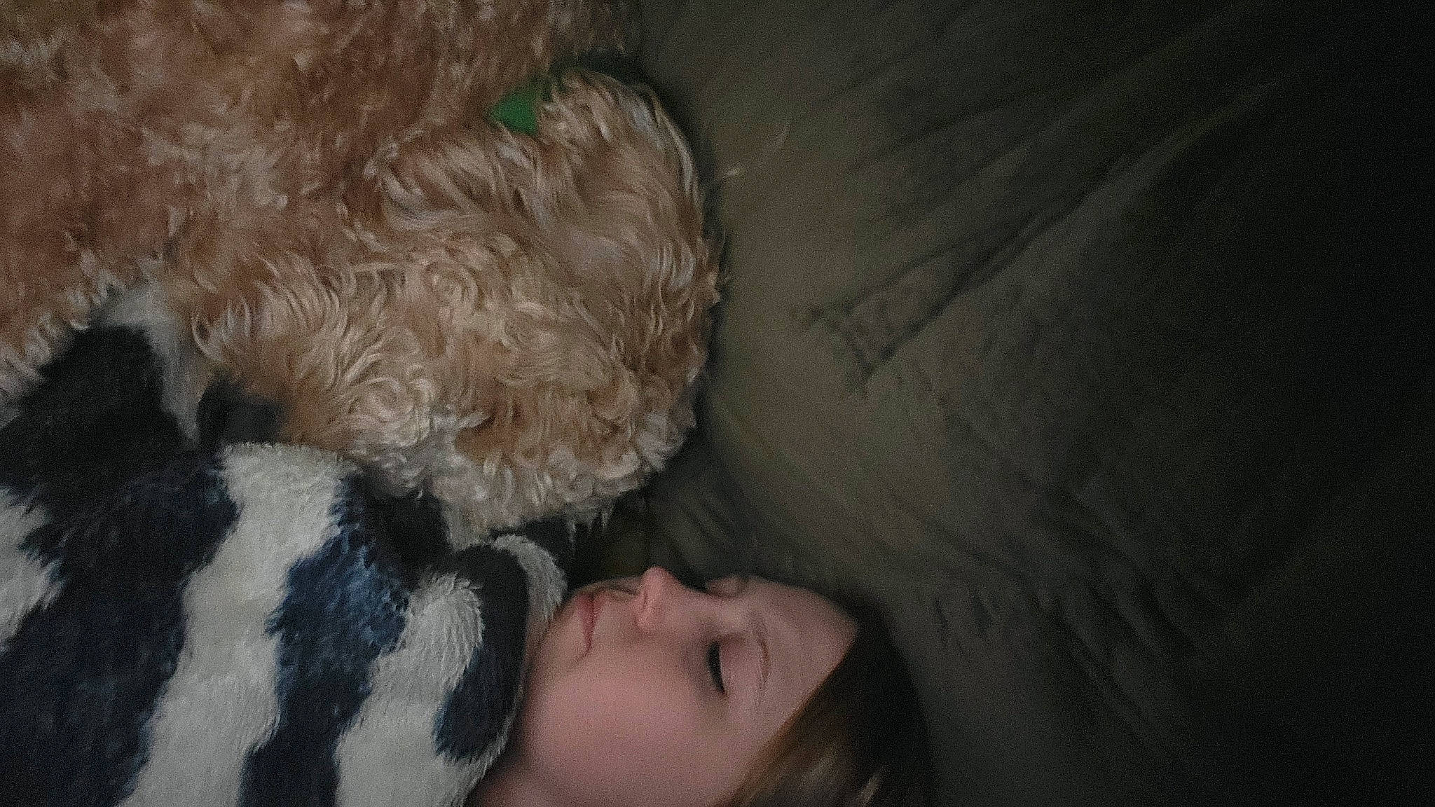 Demo is registered to the contest to win money with this photo: baby, bedding, bedtime, child, comfort, companion_dog, darkness, flash_photography, flooring, fur, gesture, head, human_leg, linens, nap, stuffed_toy, teddy_bear, textile, toddler, toy