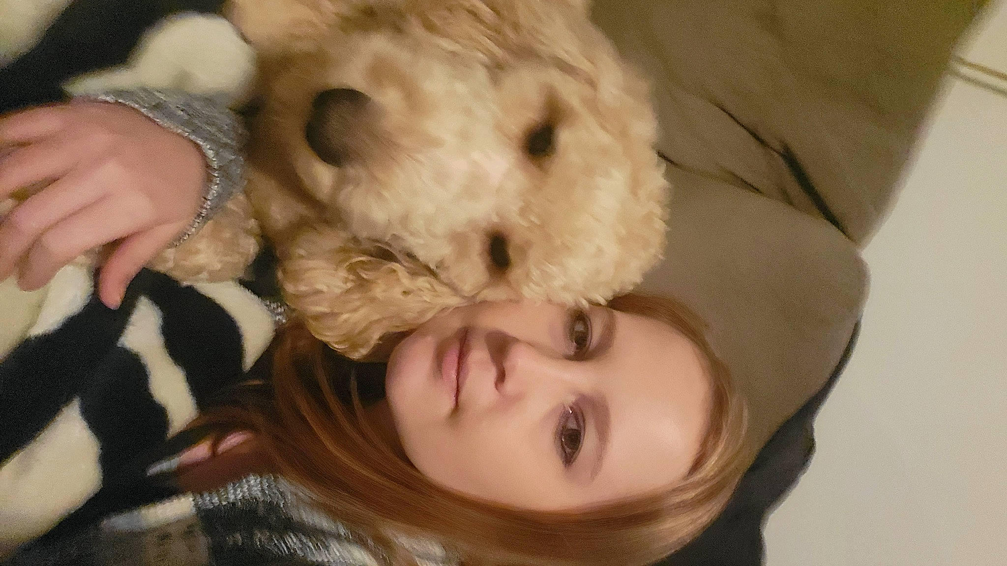 Demo is registered to the contest to win money with this photo: carnivore, child, companion_dog, dog, dog_breed, ear, eyelash, fawn, fur, gesture, happy, love, nose, puppy_love, selfie, skin, snout, stuffed_toy, tree, whiskers