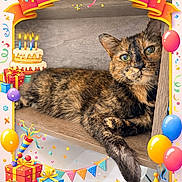 Maui joined the competition — help win amazing prizes!