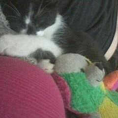 Cooper is registered to the contest to win money with this photo: