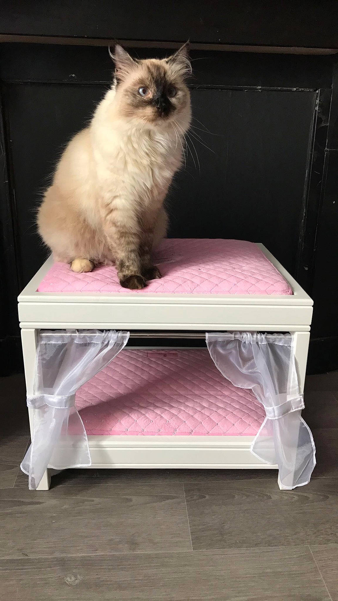 Minette