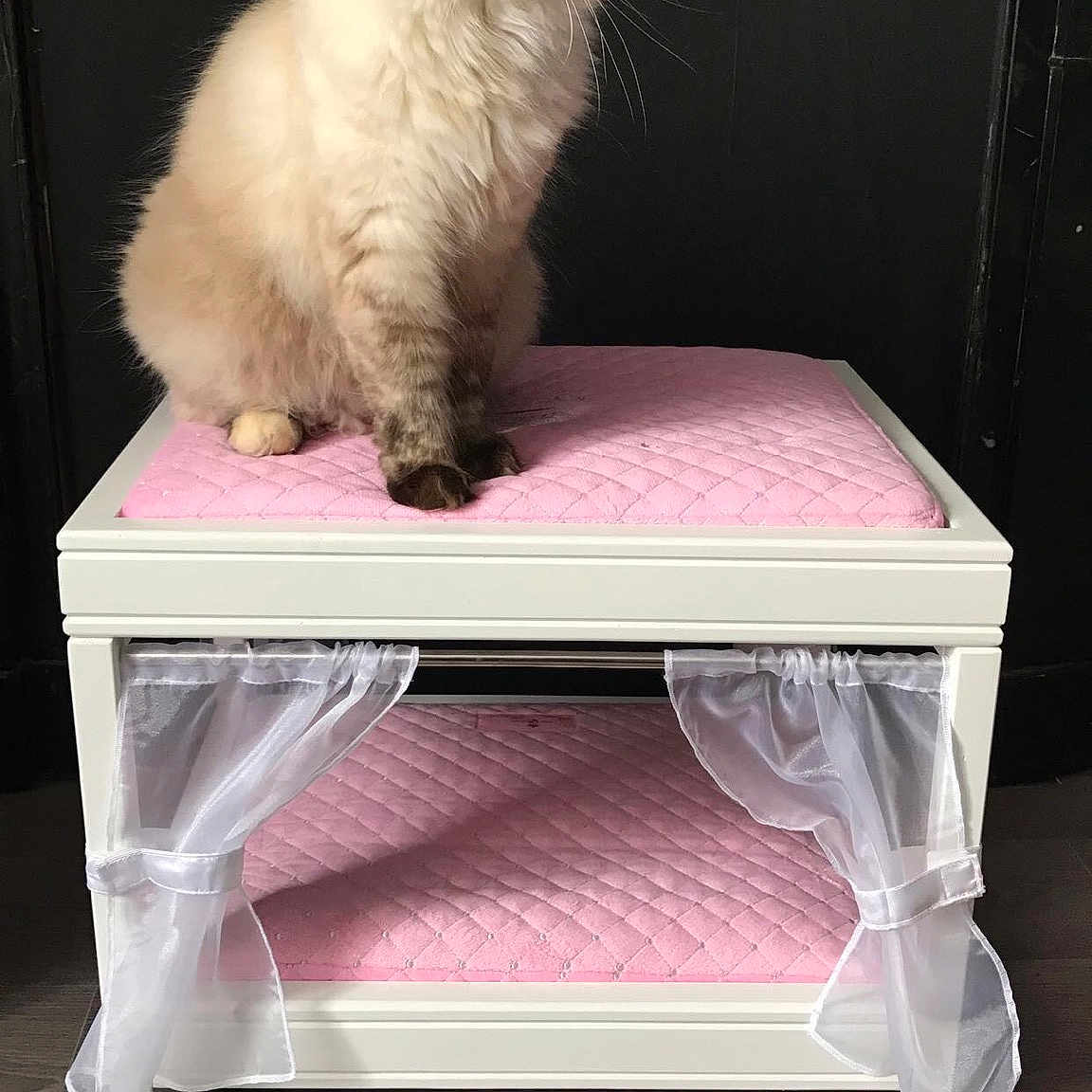 Minette