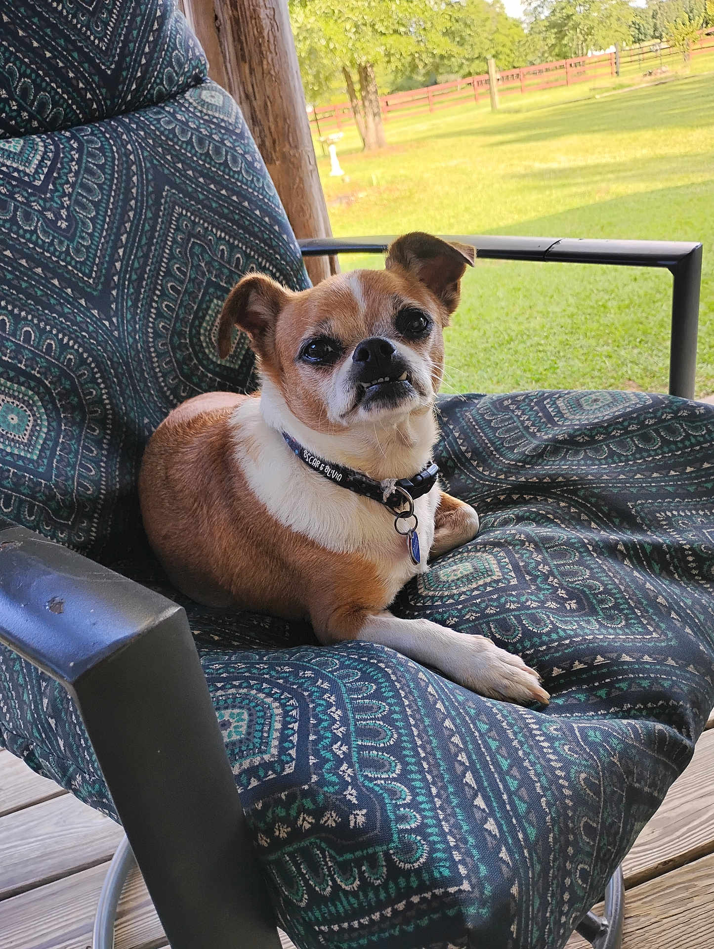 Roxie