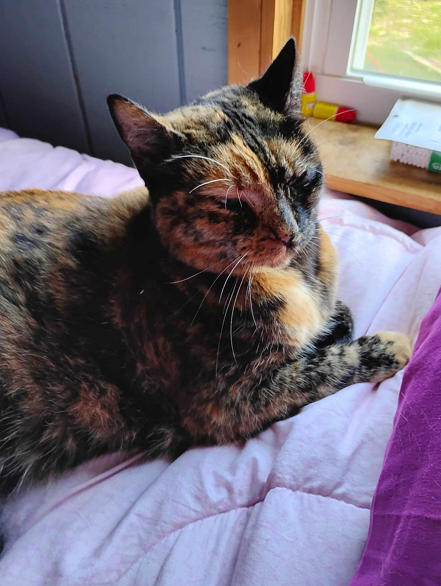 Nala