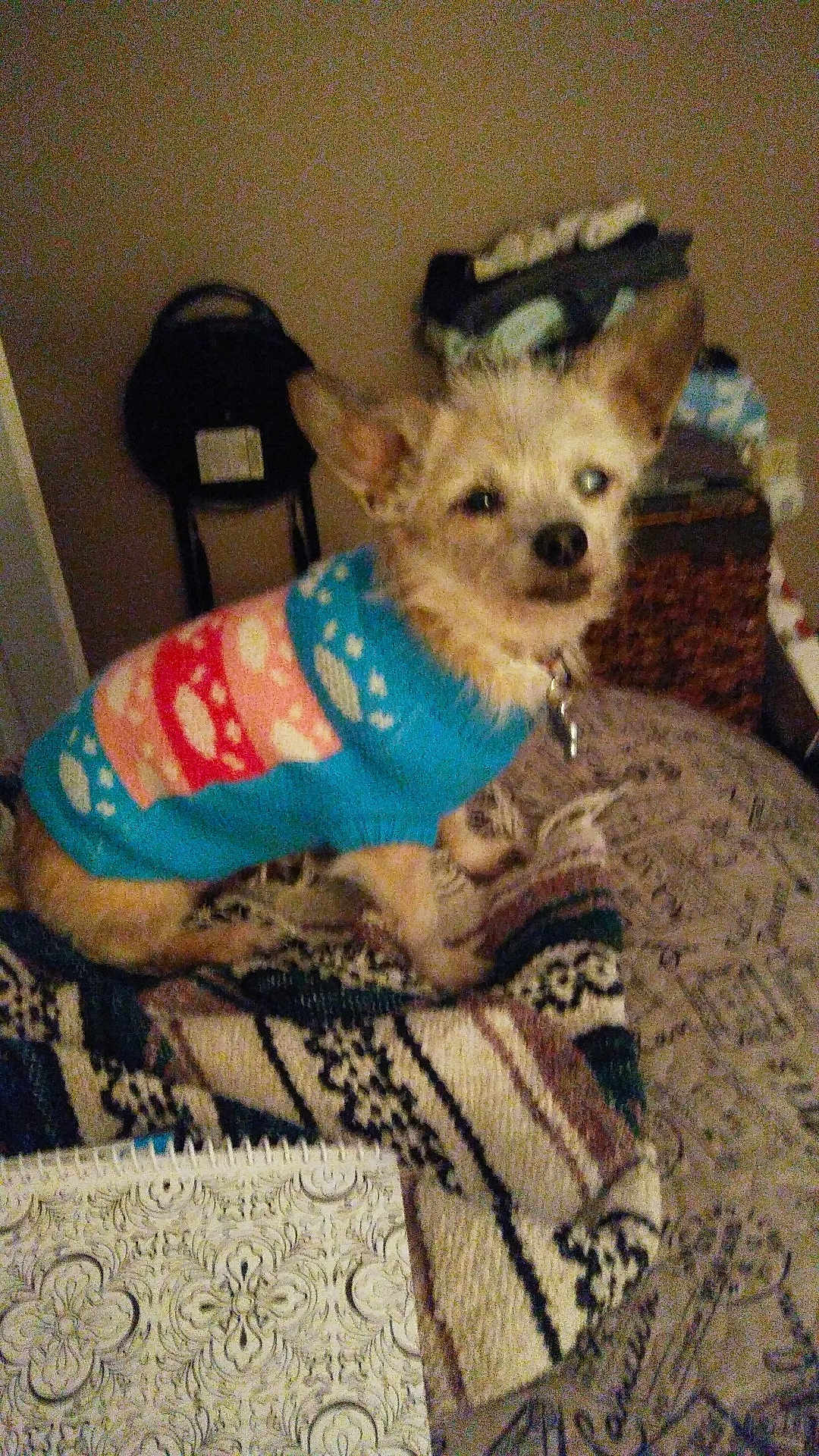 Rosie