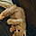 Tiny Ginga