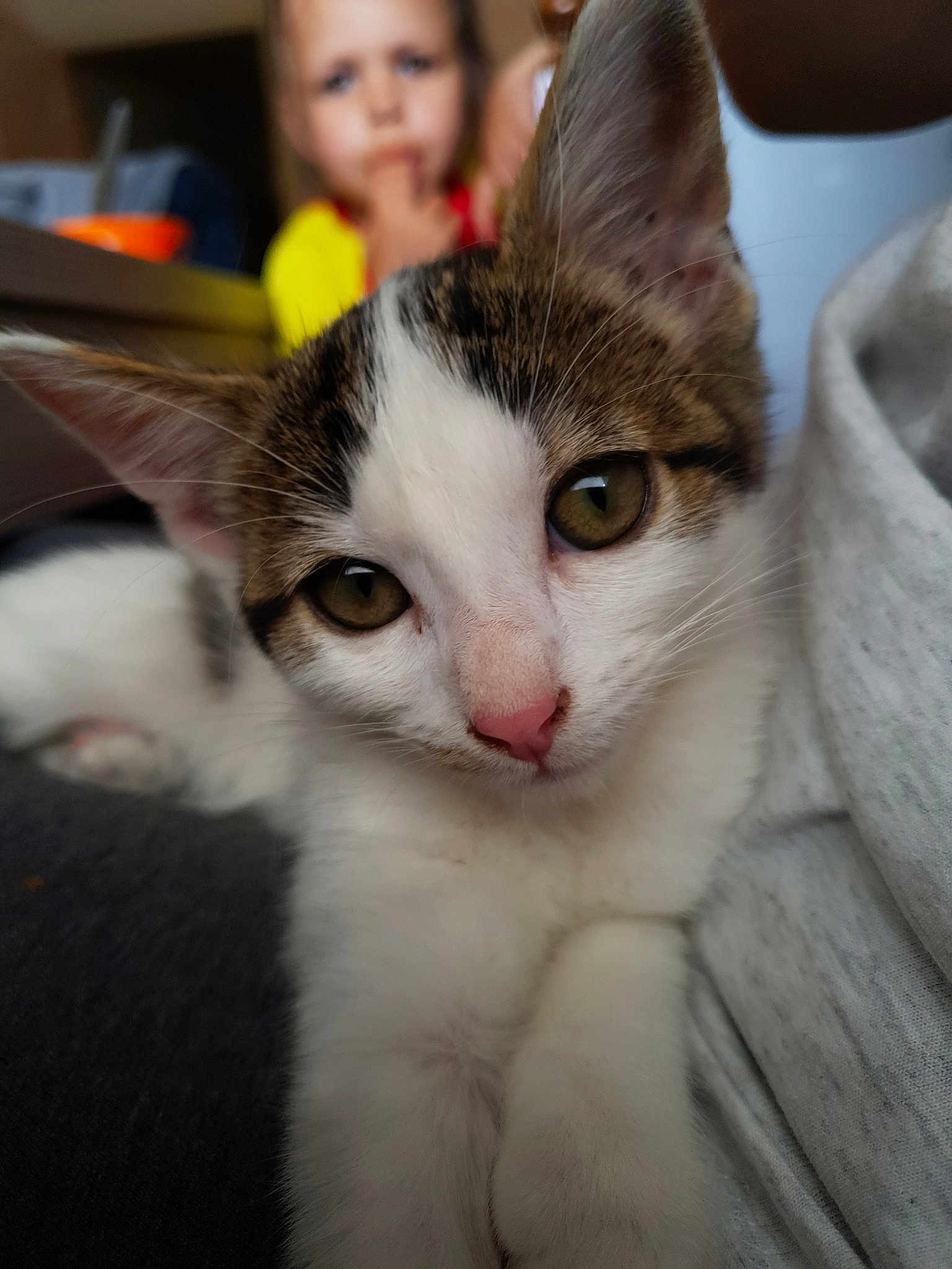 Arwen