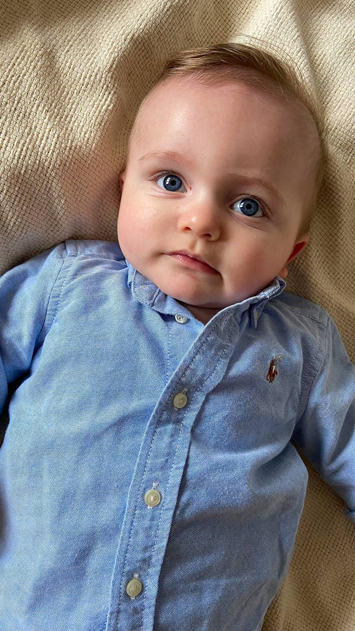 Hugo a rejoint le concours — aidez-le/la à gagner de superbes lots ! baby, baby_toddler_clothing, button, cheek, child, chin, collar, comfort, dress_shirt, electric_blue, eye, eyelash, head, iris, lip, nose, pattern, person, skin, sleeve