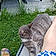 Pixel