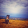 dog, border_collie, pet, sitting, tongue_out, happy, outdoors, hillside, mountain, countryside, landscape, scenic, golden_grass, field, sky, clouds, sunlight, panorama, leash, nature