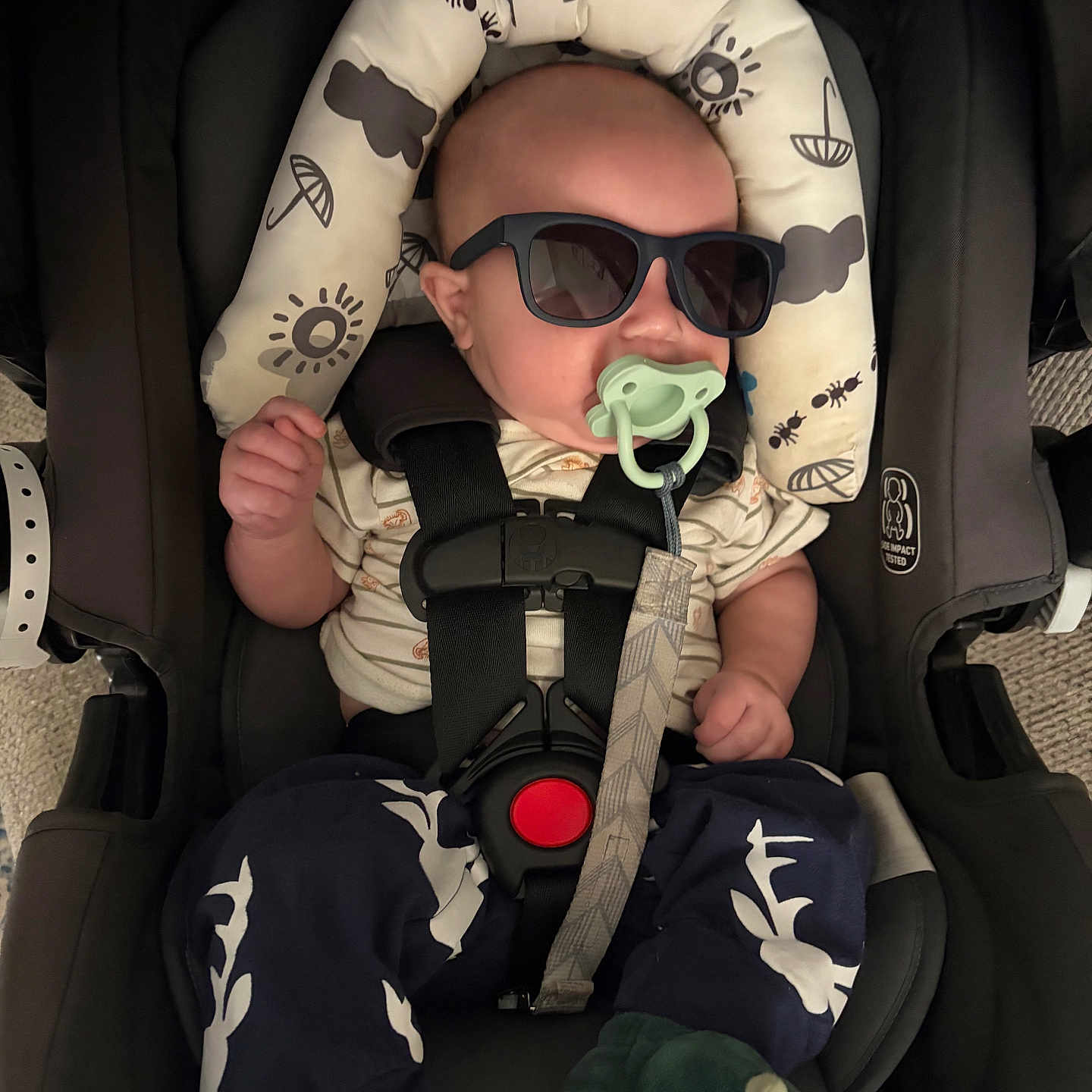 Kaiser is registered to the contest to win money with this photo: baby, black, blue_pants, car_seat, child, clothing, cute, green_booties, headrest, indoors, infant, pacifier, pattern, portrait, relaxing, safety, sitting, straps, sunglasses, white