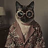 Sérafina participe au concours pour gagner de l'argent avec cette photo : cat, sunglasses, flower_shaped, floral_shirt, clothing, pet, indoor, portrait, fashion, cool, retro, animal, feline, eyewear, collar, cute, domestic_cat, face, whiskers, patterned