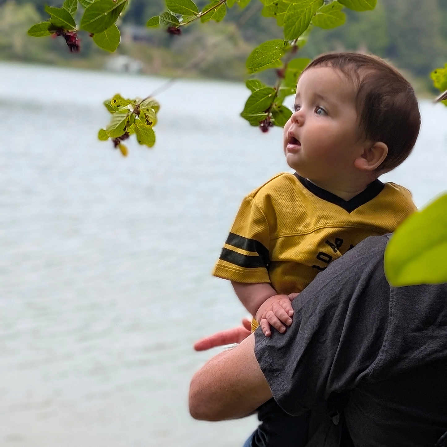 Paxxton is registered to the contest to win money with this photo: baby, child, person, yellow_shirt, outdoor, nature, leaves, lake, water, greenery, adult, holding, curious, portrait, casual_clothing, daylight, side_view, short_hair, focus, expression