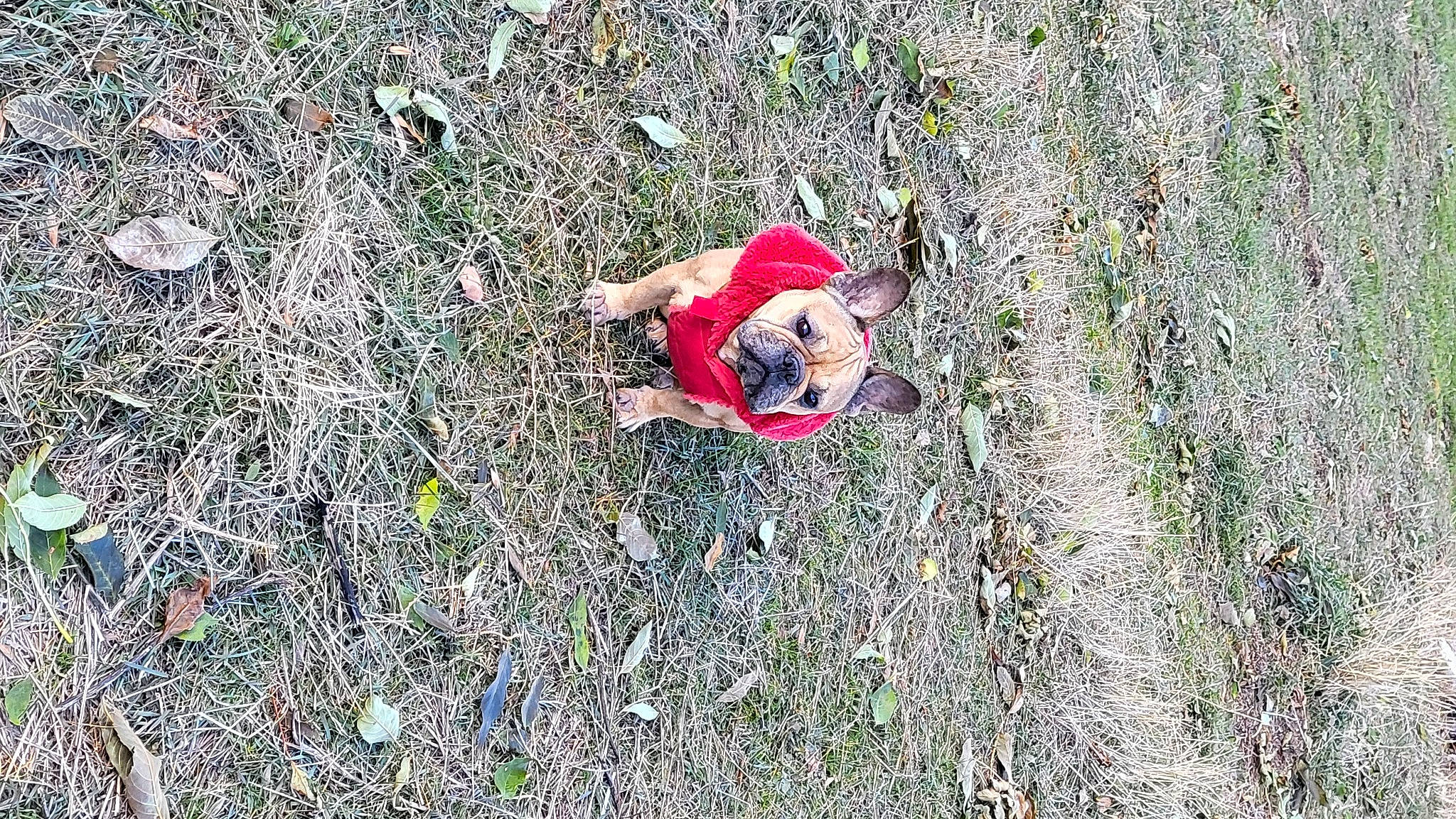 Maya a rejoint le concours — aidez-le/la à gagner de superbes lots ! adventure, carmine, field, fun, grass, grass_family, grassland, groundcover, landscape, leisure, pattern, people_in_nature, plant, recreation, shadow, soil, toddler