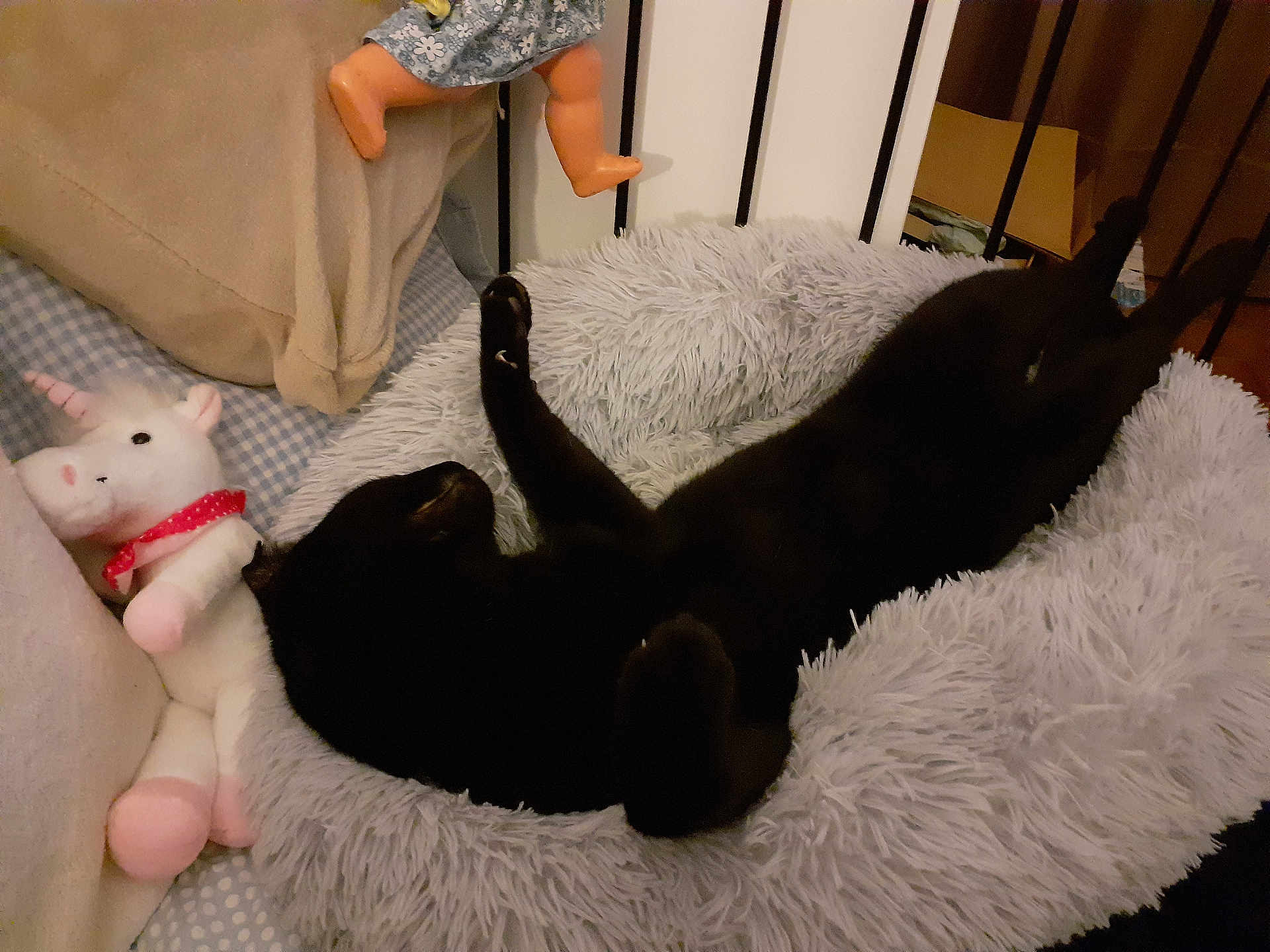 Loumoumba a rejoint le concours — aidez-le/la à gagner de superbes lots ! animal, bed, black_cat, cat, cozy, cute, doll, fabric, fluffy_bed, furniture, home, indoor, legs, pet, relaxing, sleeping, soft, stretching, stuffed_unicorn, toy