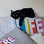 Loumoumba a rejoint le concours — aidez-le/la à gagner de superbes lots ! animal, architecture, bed, bedroom, blackcat, blanket, building, cat, couch, cushion, furniture, homedecor, indoors, kitten, livingroom, manx, pet, pillow, quilt, room