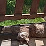 cat, gray_cat, stretching, wooden_bench, sunlight, shadows, outdoor, greenery, relaxed, pet, animal, feline, nature, daylight, wood, fur, resting, summer, peaceful, domestic_cat
