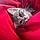 Louna