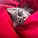 Louna