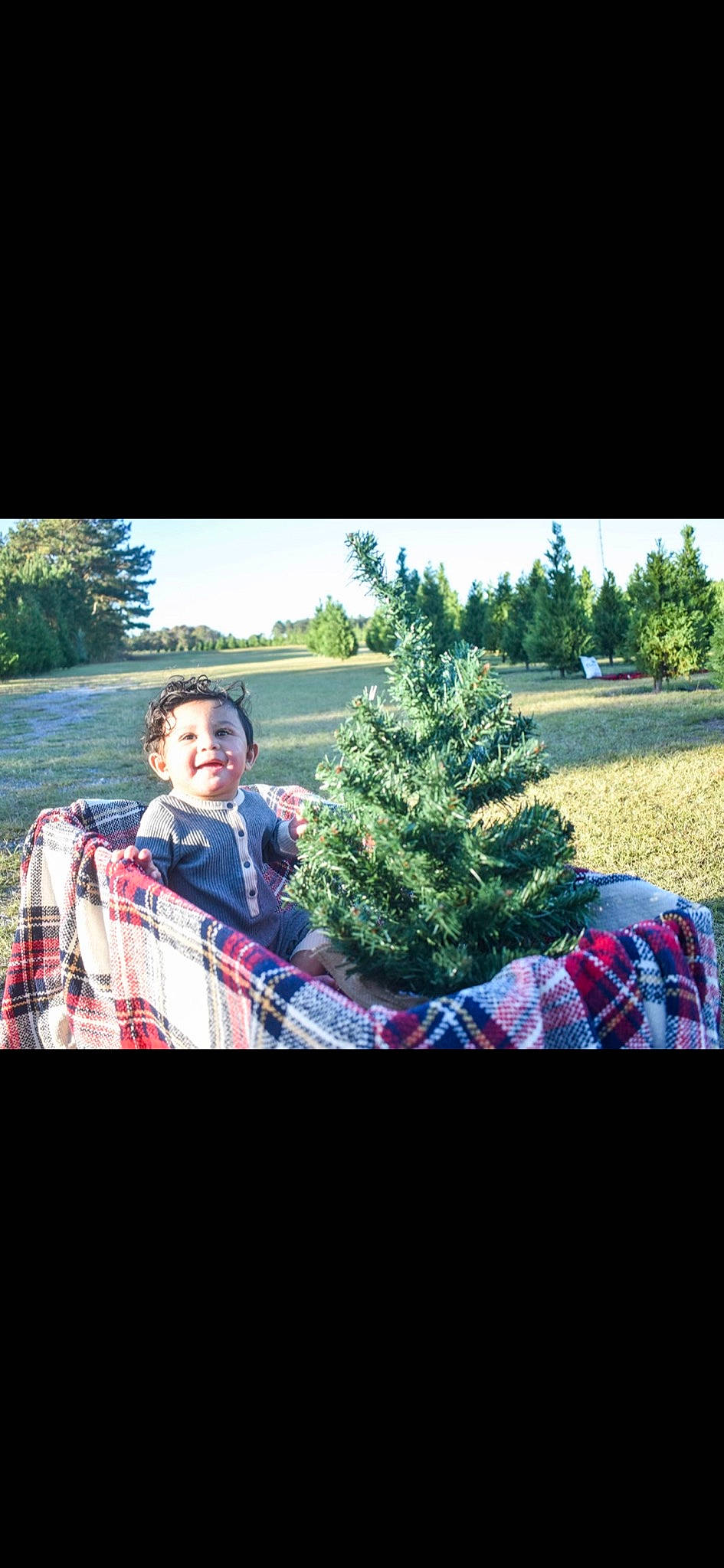 Izaiah joined the competition — help win amazing prizes! conifer, event, evergreen, fun, grass, happy, holiday, landscape, pattern, people_in_nature, person, photo_caption, plant, recreation, shrub, sitting, sky, stock_photography, tints_and_shades, tree