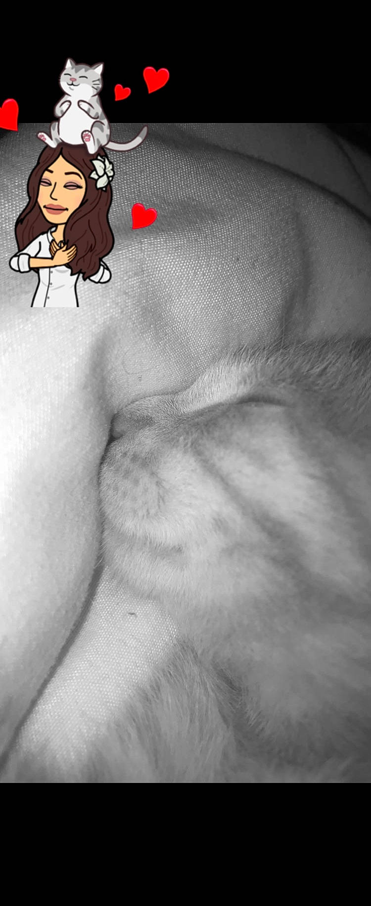 Truncky participe au concours pour gagner de l'argent avec cette photo : abdomen, art, chest, drawing, felidae, fictional_character, figure_drawing, flesh, fur, gesture, human_leg, illustration, monochrome, monochrome_photography, painting, paw, tattoo, visual_arts, whiskers, wing