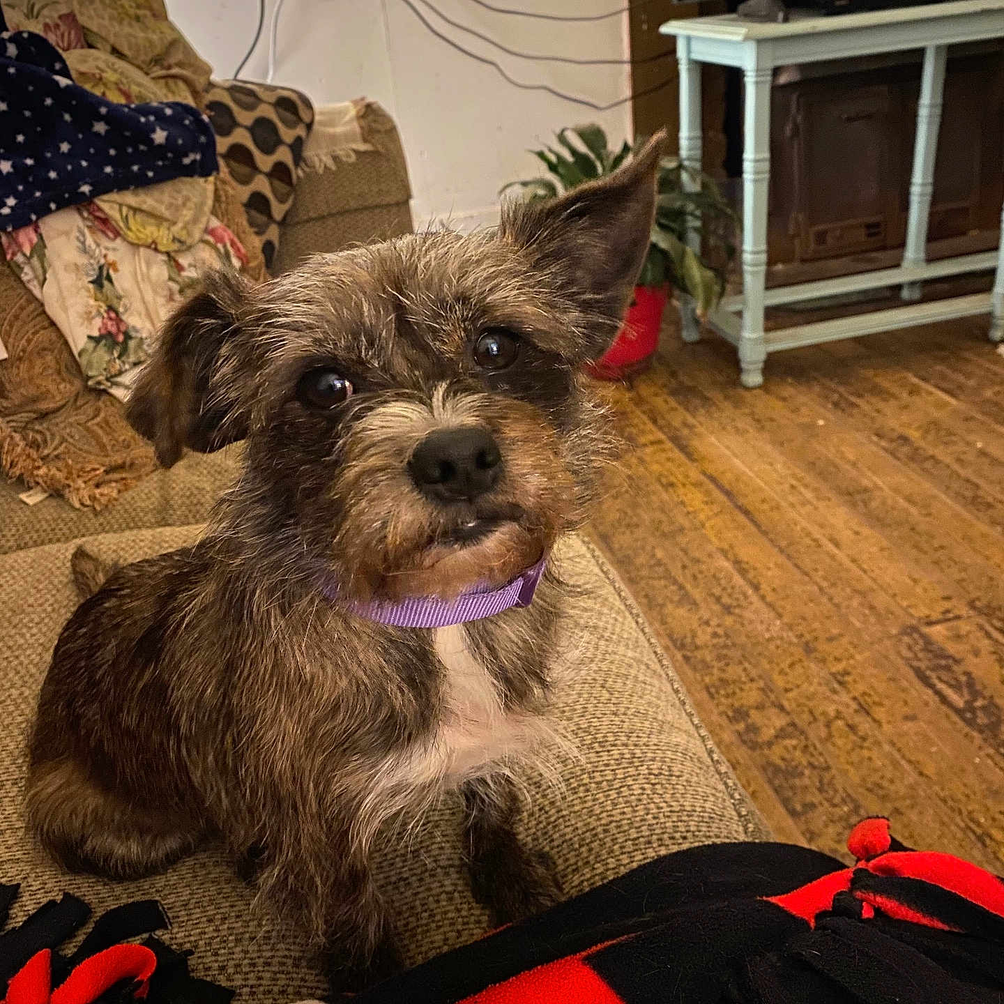 Lilbit