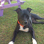 Poison participe au concours pour gagner de l'argent avec cette photo :