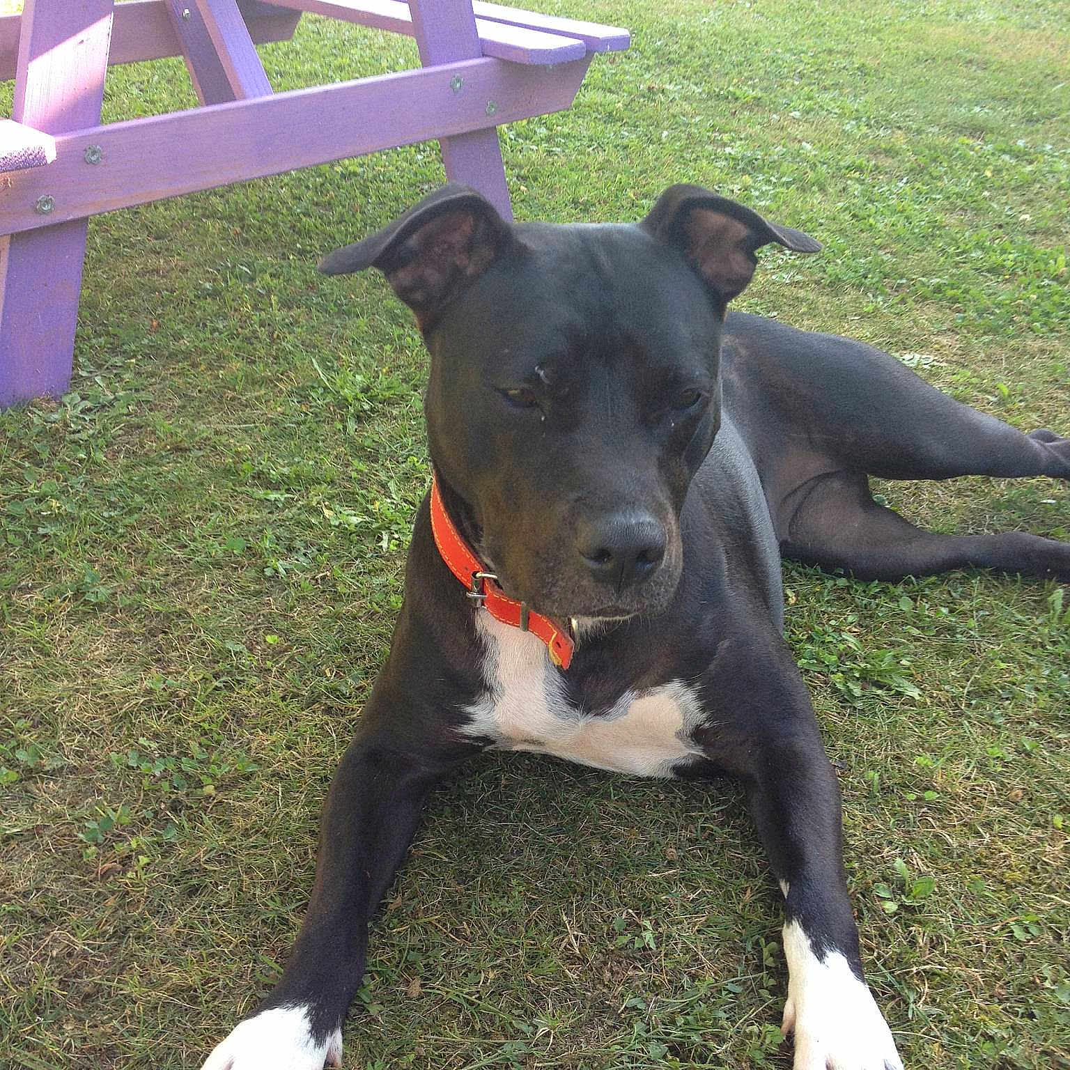 Poison participe au concours pour gagner de l'argent avec cette photo :