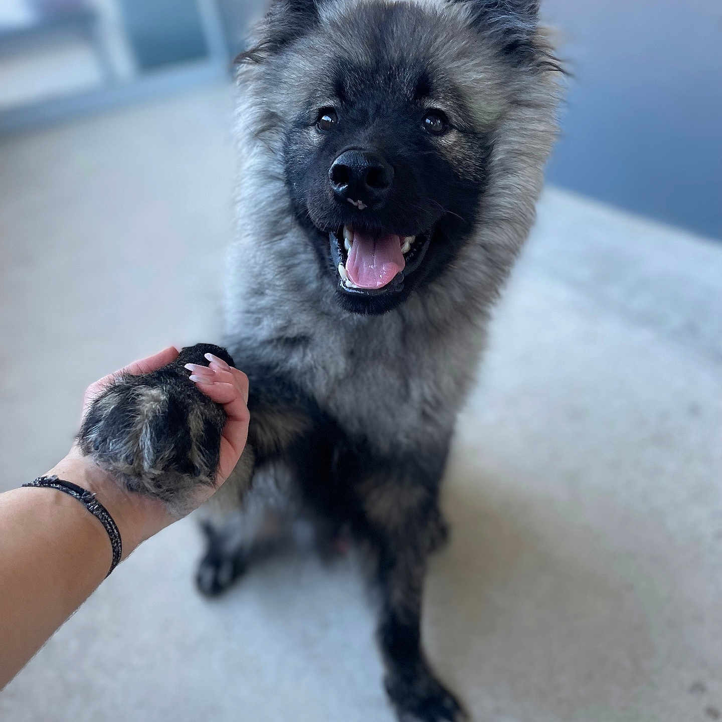 Usko