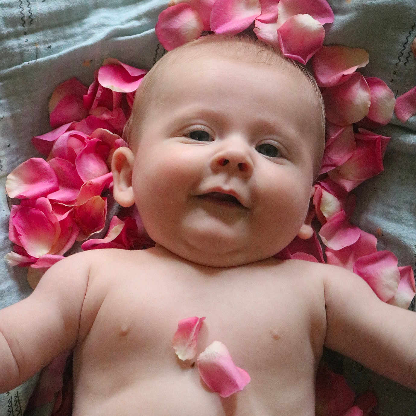 Arsene participe au concours pour gagner de l'argent avec cette photo : accessories, baby, bed, cushion, face, flower, flowerarrangement, flowerbouquet, furniture, happy, head, homedecor, laughing, newborn, person, petal, photography, plant, portrait, rose