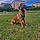 Athena