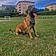 Athena