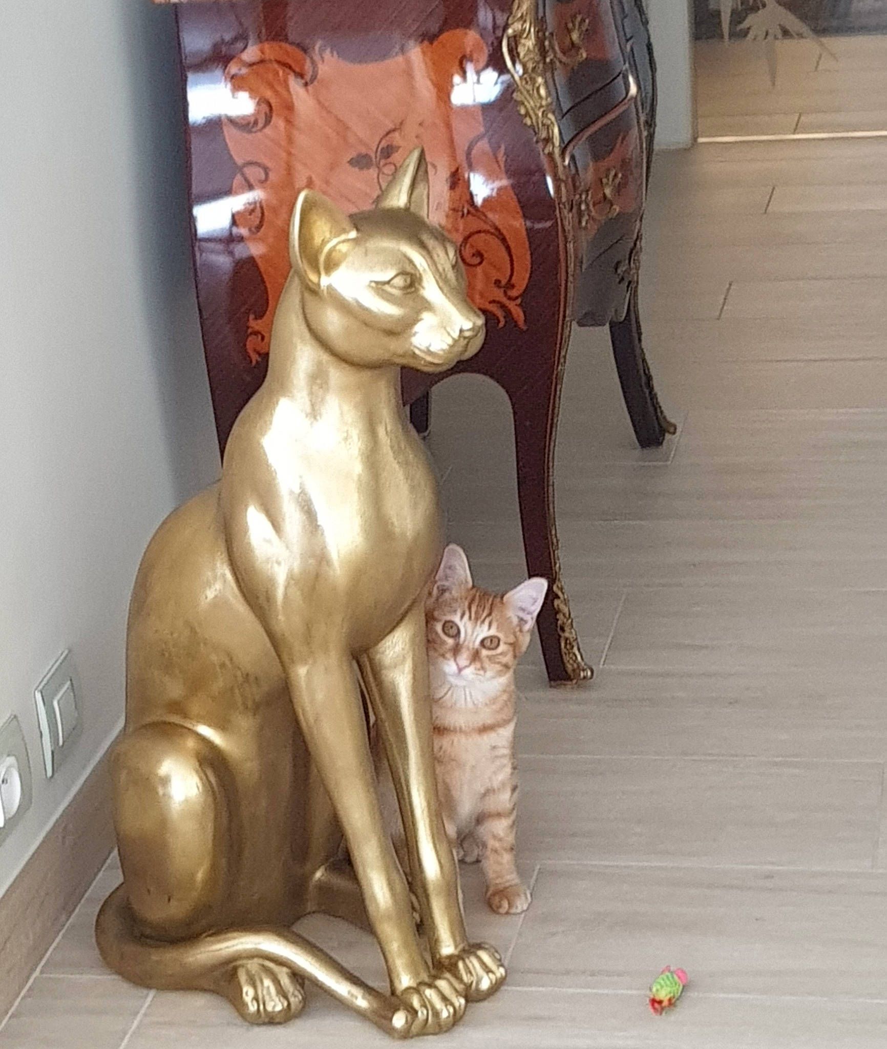 Ciccio a rejoint le concours — aidez-le/la à gagner de superbes lots ! animal_figure, art, big_cats, bronze_sculpture, canidae, carnivore, fawn, felidae, flooring, metal, monument, sculpture, small_to_medium_sized_cats, snout, statue, tail, toy, whiskers, wood, working_animal