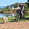 Stup a rejoint le concours — aidez-le/la à gagner de superbes lots ! person, bicycle, dog, lake, mountains, grass, outdoor, nature, sunny, tree, water, trail, cycling, pet, happy, sportswear, blue_sky, recreation, active, canine