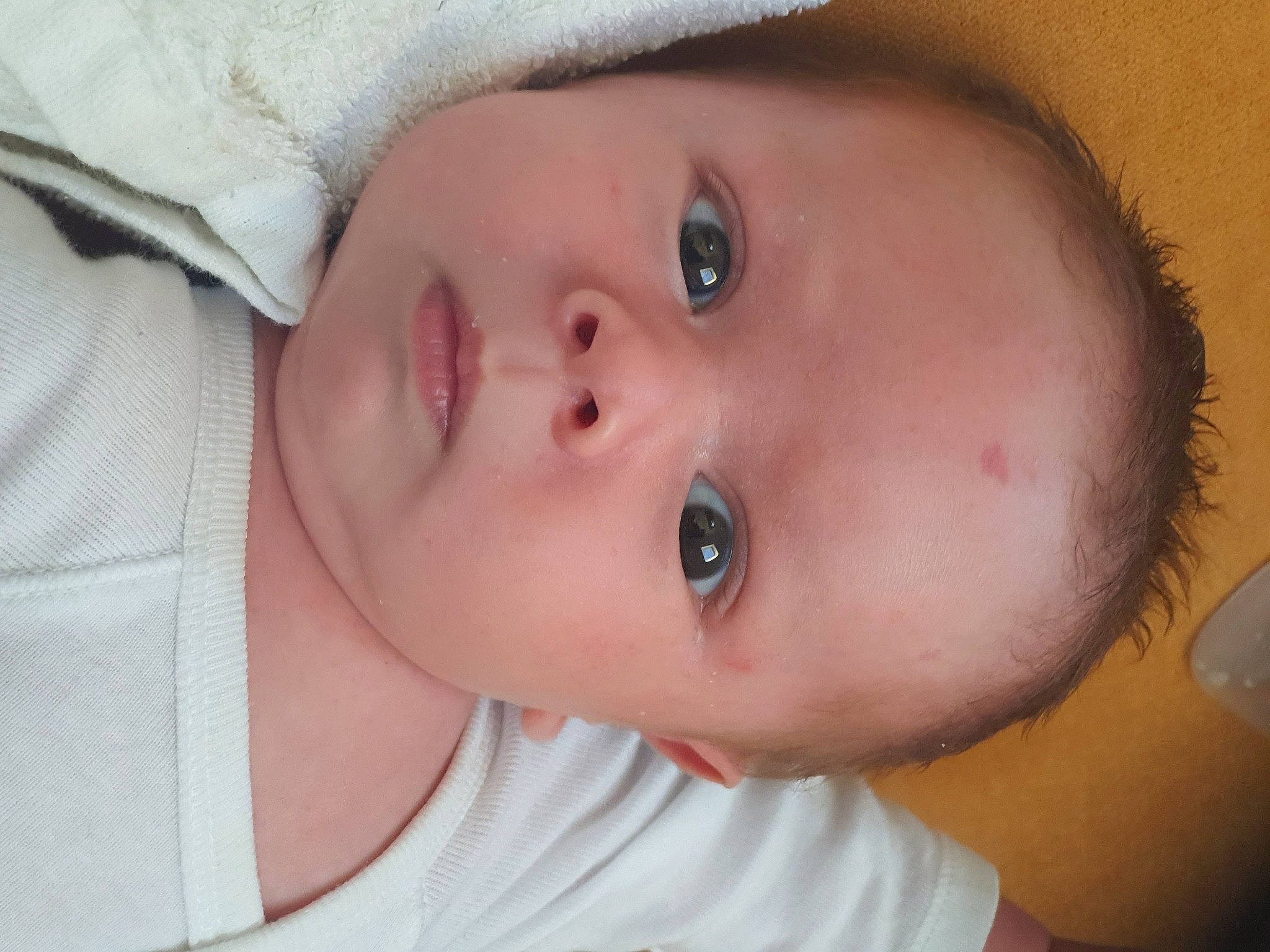 Swann participe au concours pour gagner de l'argent avec cette photo : baby, baby_toddler_clothing, cheek, child, close_up, clothing, ear, eyebrow, eyelash, happy, hat, human_body, iris, lip, mouth, no_expression, nose, person, plant, skin